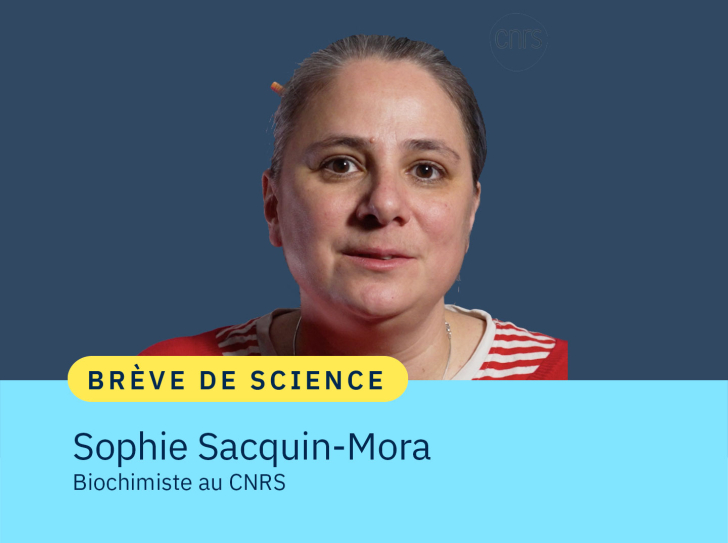 Portrait de Sophie Sacquin-Mora, biochimiste