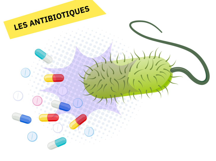 Une illustration de bactérie avec des médicaments antibiotiques autour