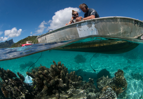 Des chercheurs en Polynésie française relèvent les signatures sonores d'un paysage coralien