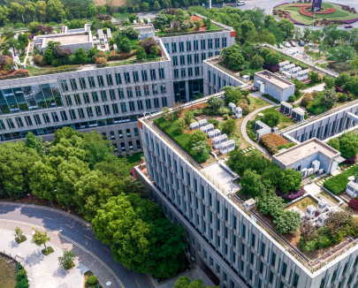 Photographie aérienne de bâtiments végétalisés
