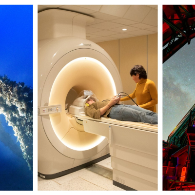 Montage de trois images