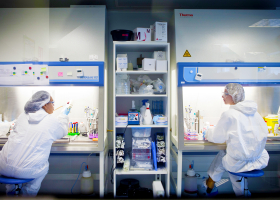 Laboratoire de sécurité microbiologique de niveau L3, où sont manipulés des prélèvements biologiques infectieux, à l'Institut de la vision.