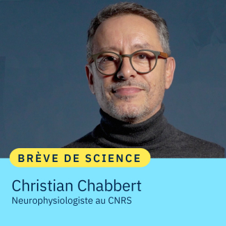 neurophysiologiste au CNRS