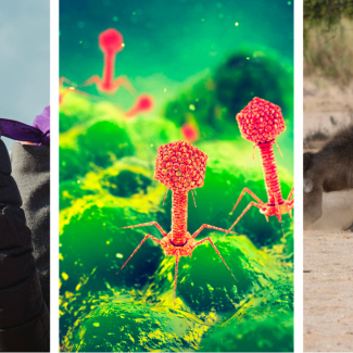 Montage de 3 images représentant les recherches du mois de mars