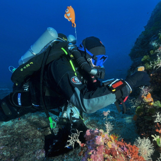 vignette liste ocean