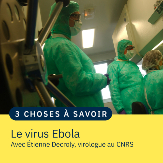 des scientifiques manipulent des virus en laboratoire