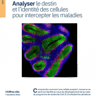 PEPR Indentités et destins cellulaires (Cell-ID)
