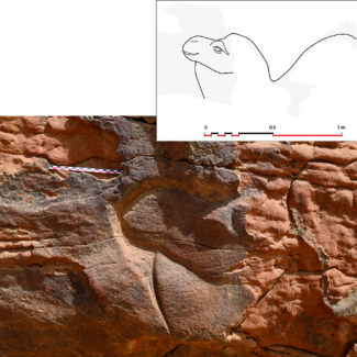 Rock art : Life-sized sculptures of dromedaries found in Saudi Arabia
