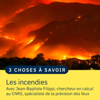 Des incendies de forêt de nuit