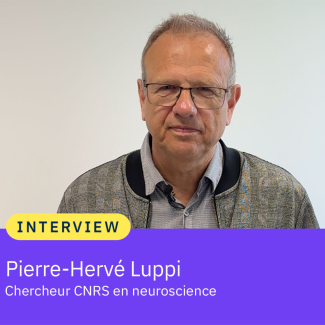 portrait de Pierre-Hervé Luppi, chercheur en neuroscience au CNRS et spécialiste du sommeil