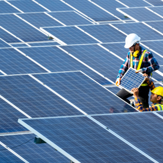 Deux professionnels installent un panneau solaire au milieu d'une vaste étendue de panneaux photovoltaïques.