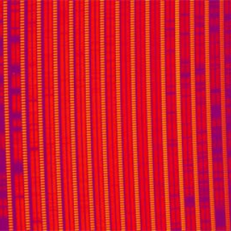 First light for SPIRou, exoplanet hunter