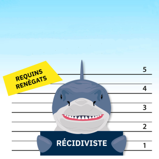 Une illustration montre un requin tenant une pancarte "Récidiviste" comme s'il était au poste de police