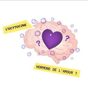 Une illustration de coeur 