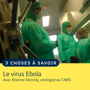 Des scientifiques en tenue de protection manipulent des virus en laboratoire