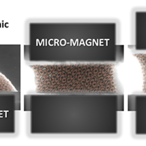 Magnetic cellular "Legos" for the regenerative medicine of the future