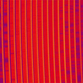 First light for SPIRou, exoplanet hunter